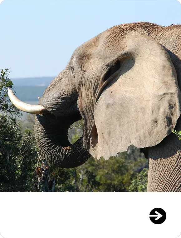 Zimbabwe hunting safari landscape in Chirisa Safari Area